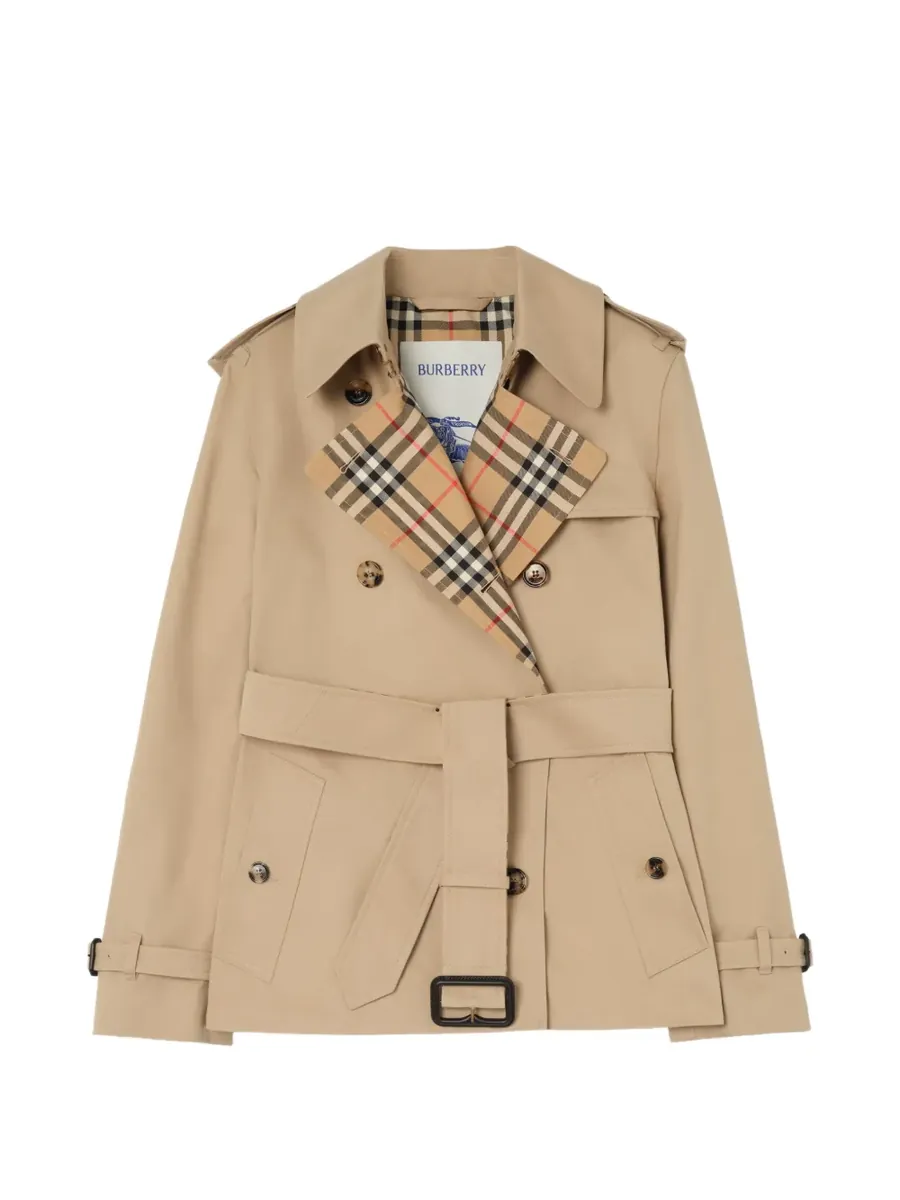 Burberry trench coat: store photo
