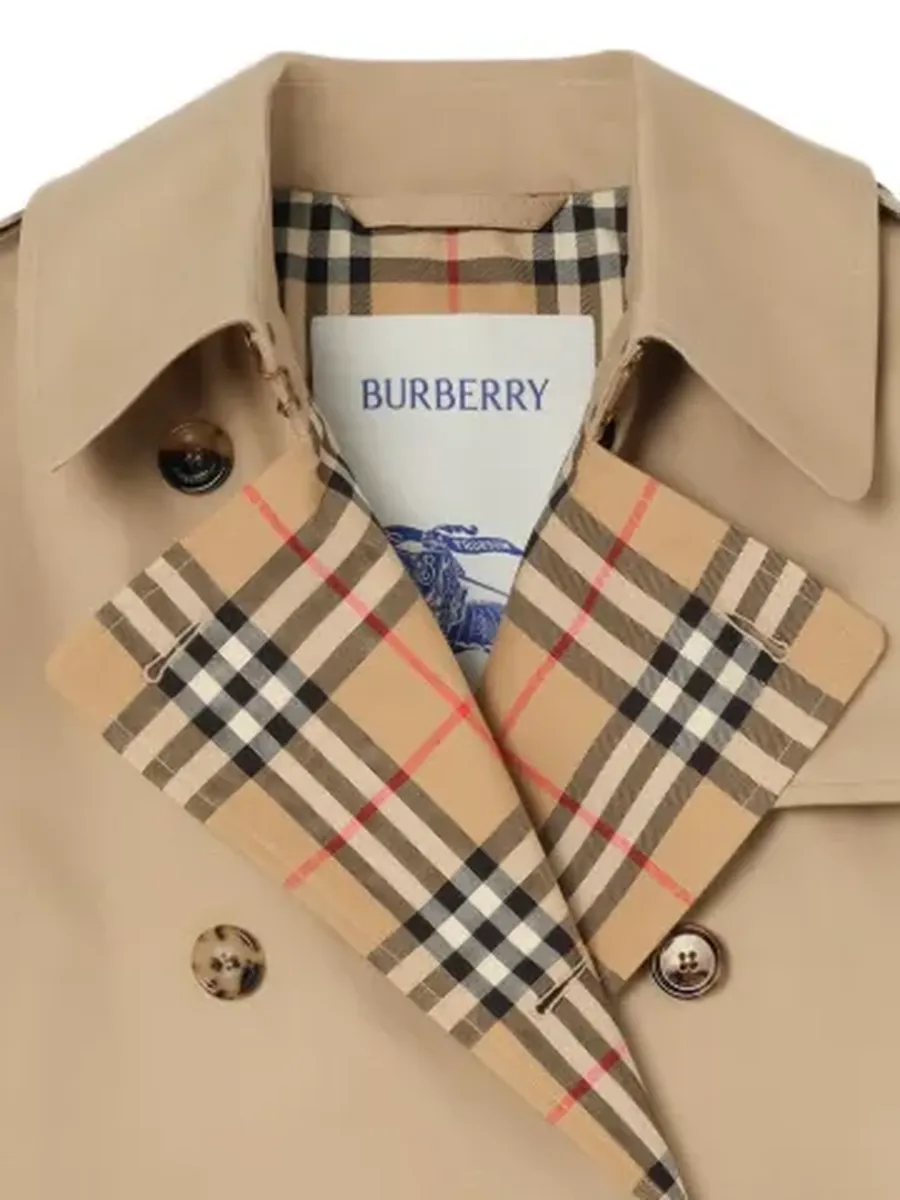 Burberry trench coat, check lapels on the store photo
